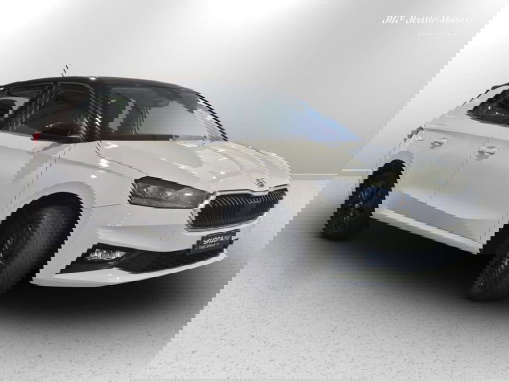 Skoda Fabia usata a Padova (4)