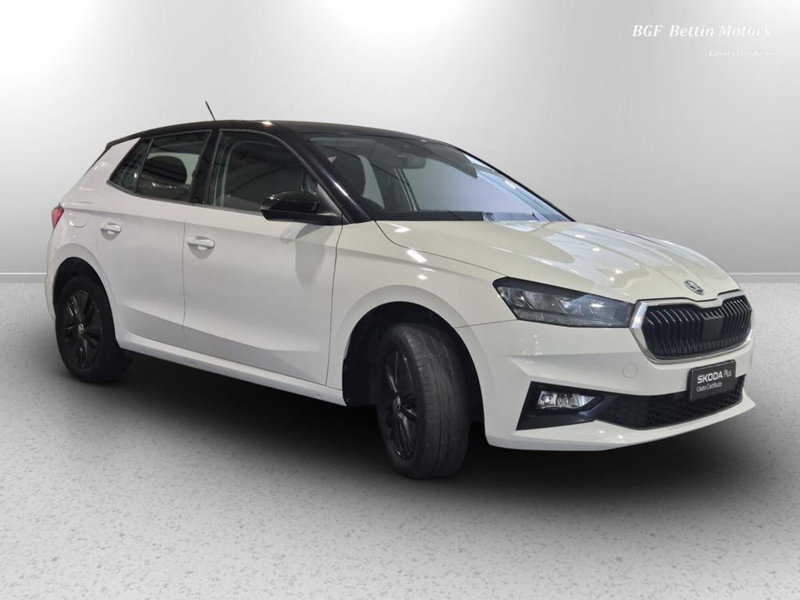 Skoda Fabia usata a Padova (4)