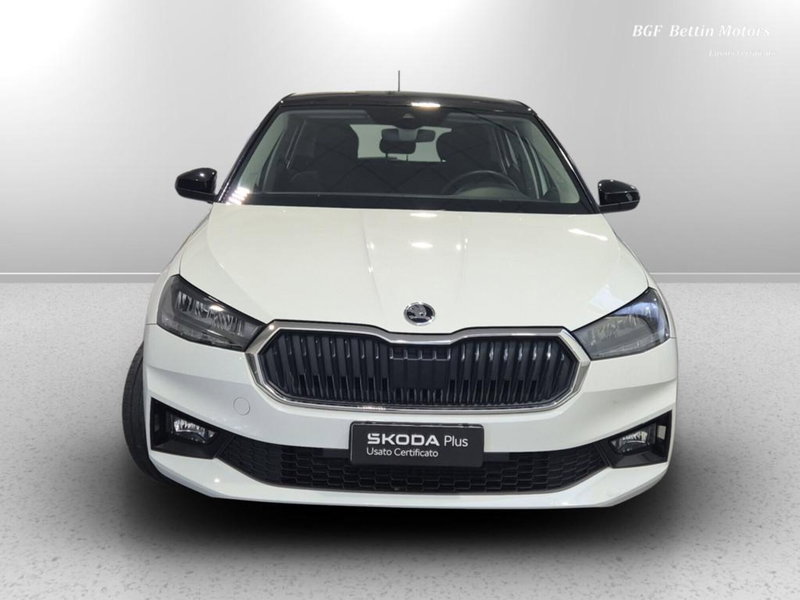 Skoda Fabia usata a Padova (7)