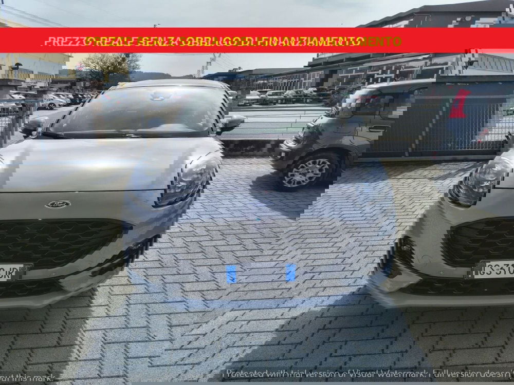 Ford Puma usata a Firenze (2)