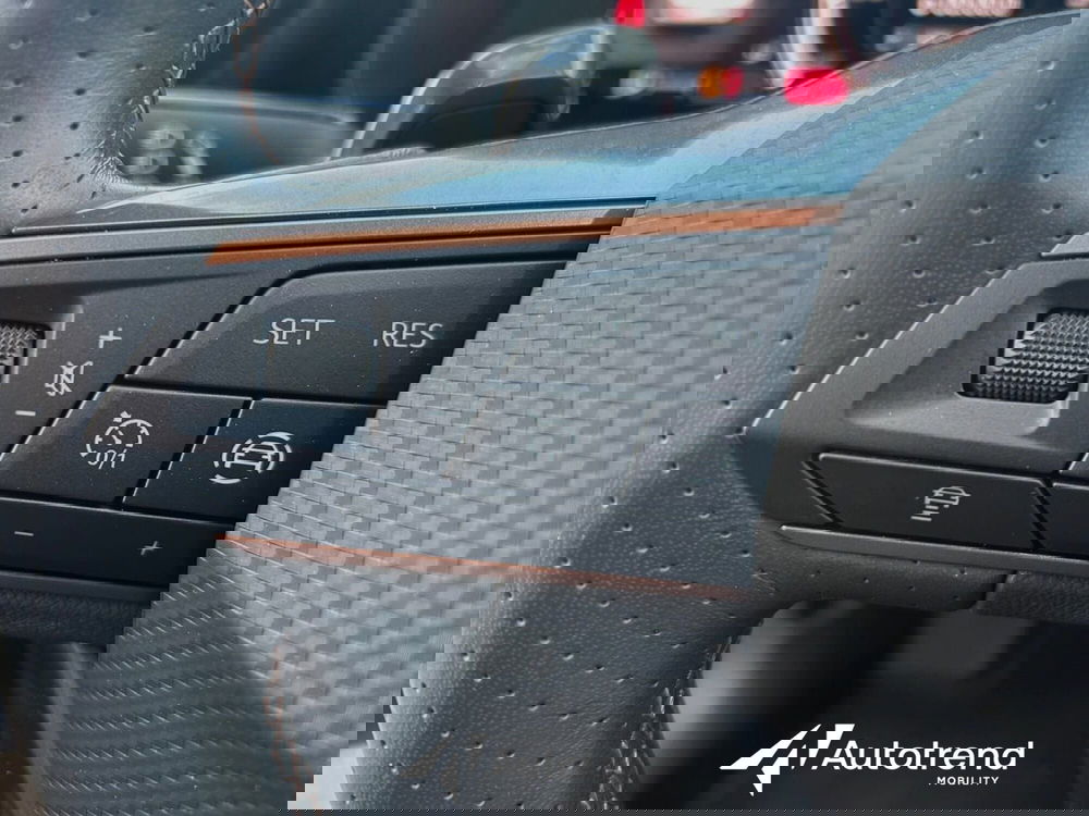 Cupra Formentor usata a Bari (8)