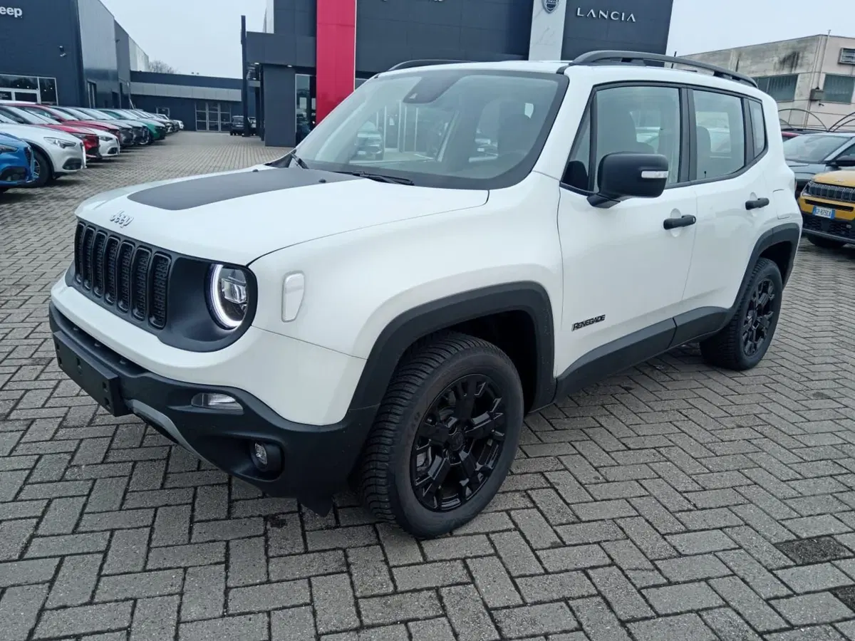 Jeep Renegade usata a Alessandria