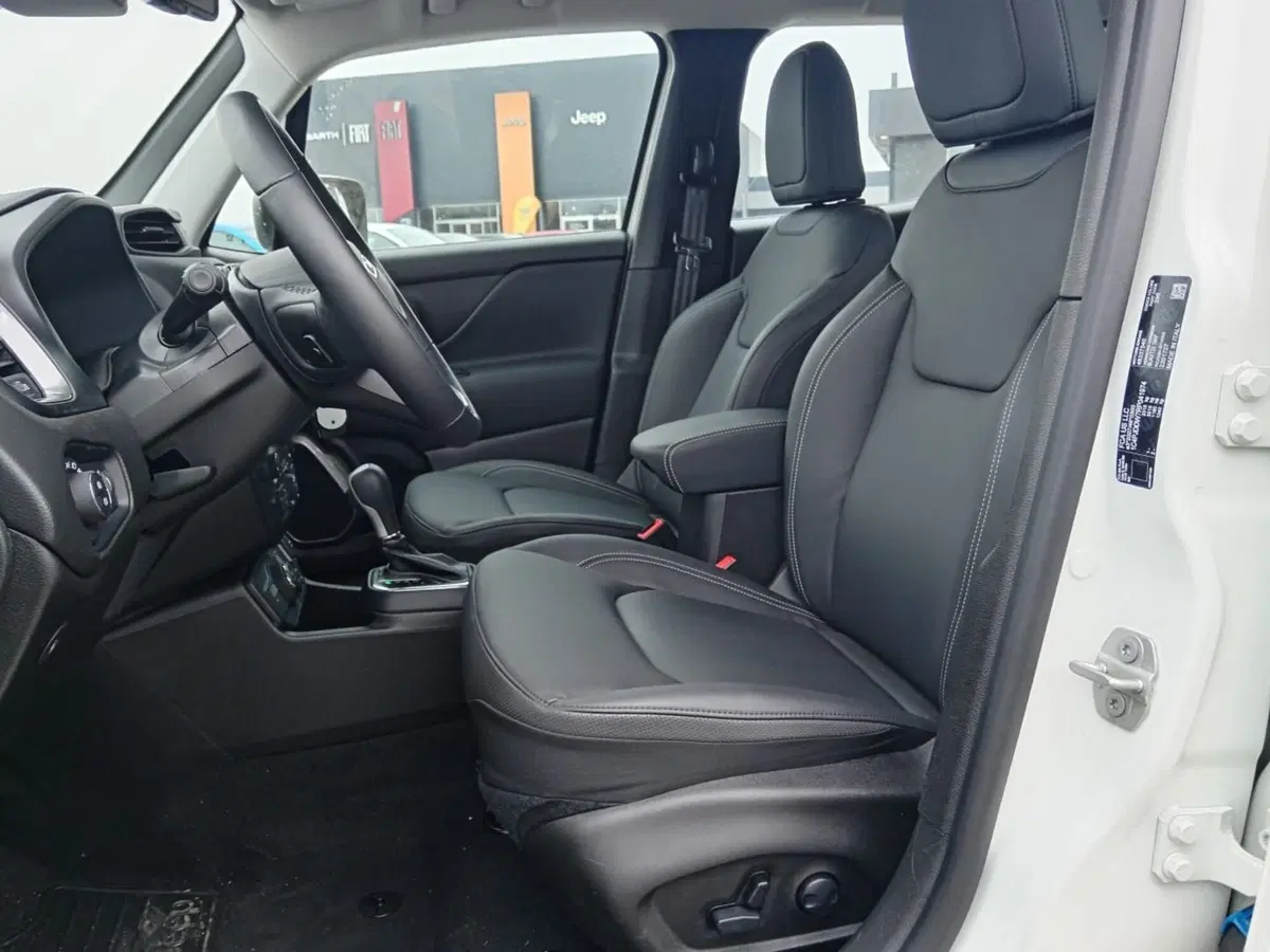 Jeep Renegade usata a Alessandria (11)