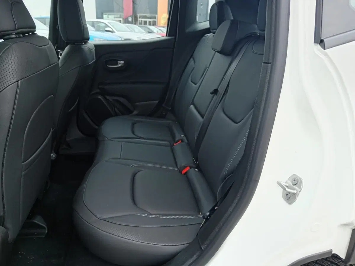 Jeep Renegade usata a Alessandria (14)