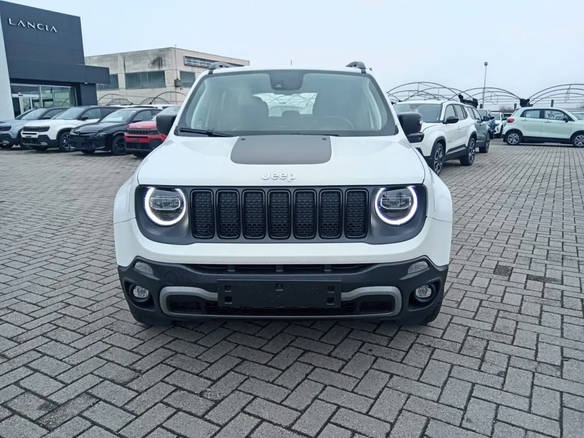 Jeep Renegade usata a Alessandria (2)