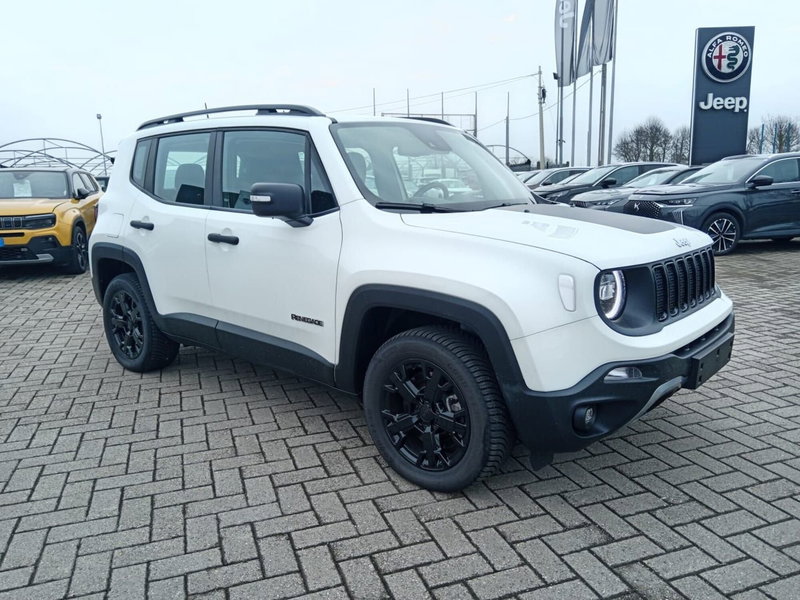 Jeep Renegade usata a Alessandria (3)