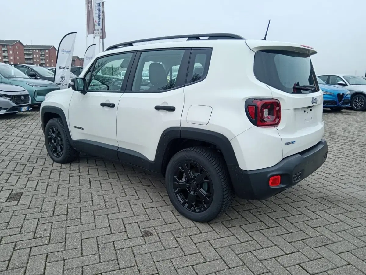 Jeep Renegade usata a Alessandria (7)