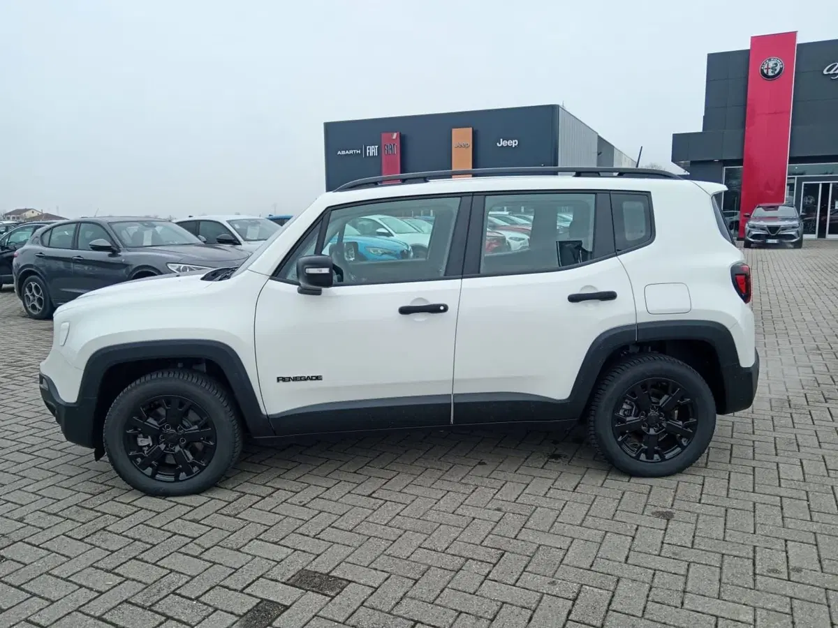 Jeep Renegade usata a Alessandria (8)