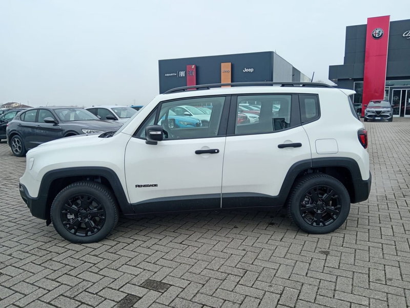 Jeep Renegade usata a Alessandria (8)