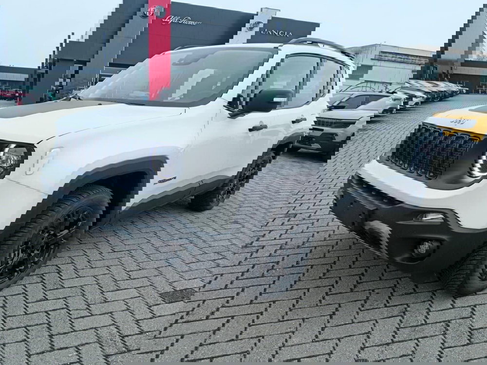 Jeep Renegade usata a Alessandria (9)