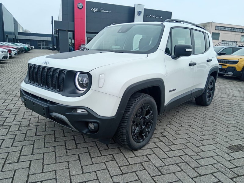 Jeep Renegade usata a Alessandria (9)