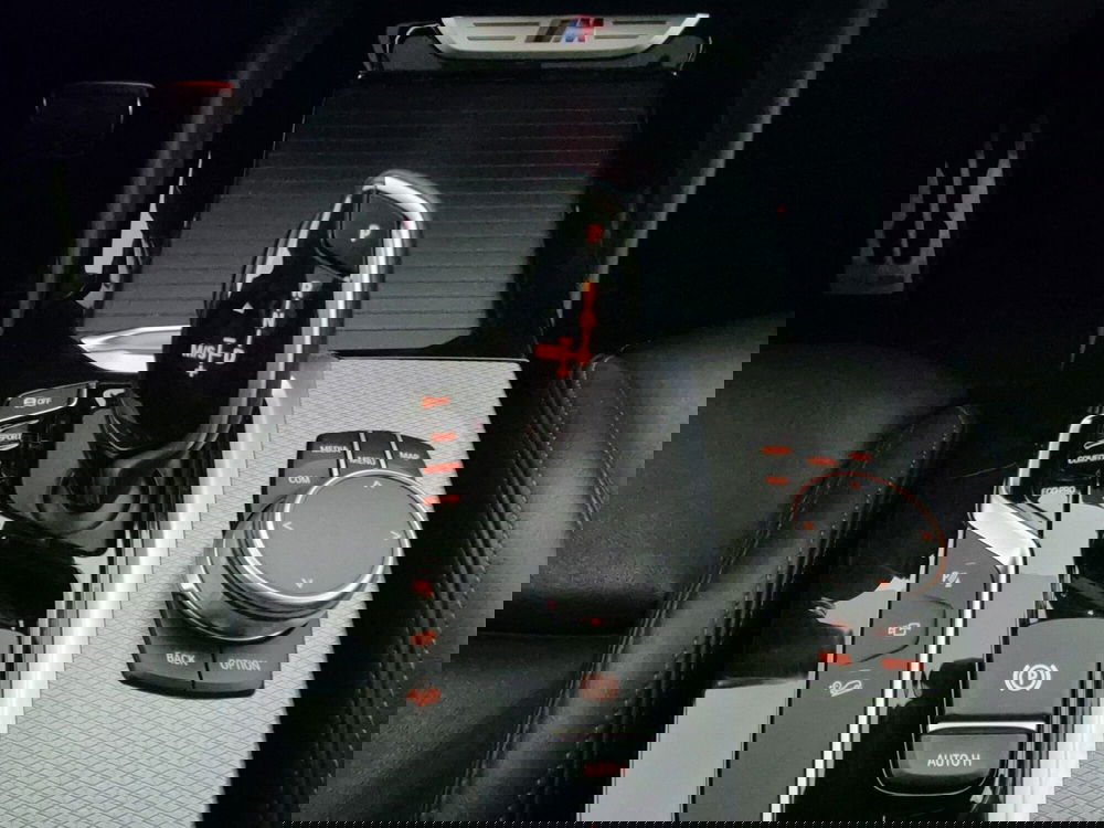 BMW X4 usata a Torino (10)