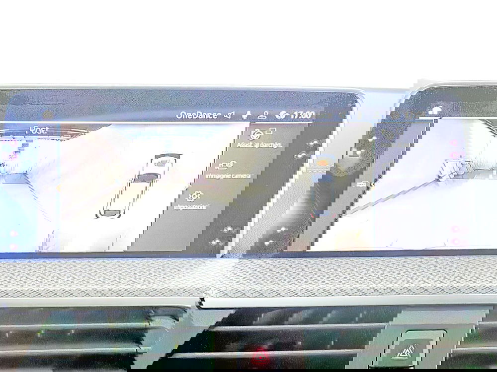 BMW X4 usata a Torino (16)