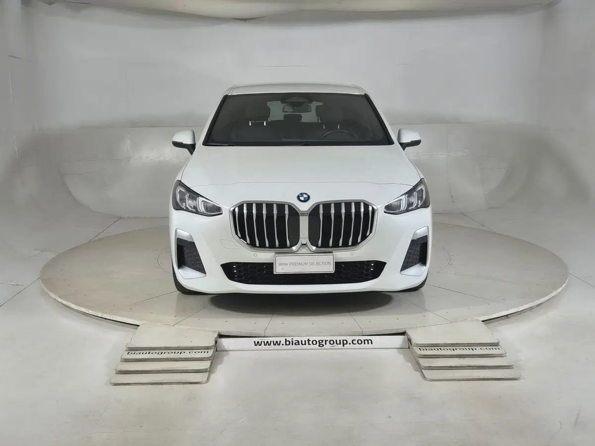 BMW Serie 2 Active Tourer usata a Torino (3)
