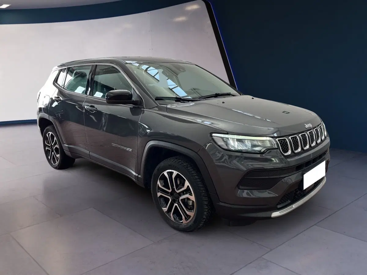 Jeep Compass usata a Torino (2)