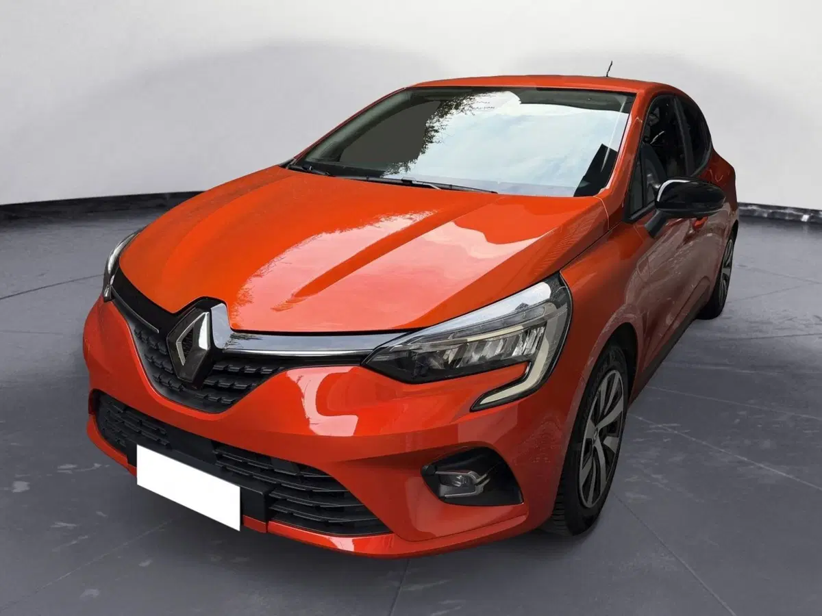 Renault Clio usata a Monza e Brianza (5)