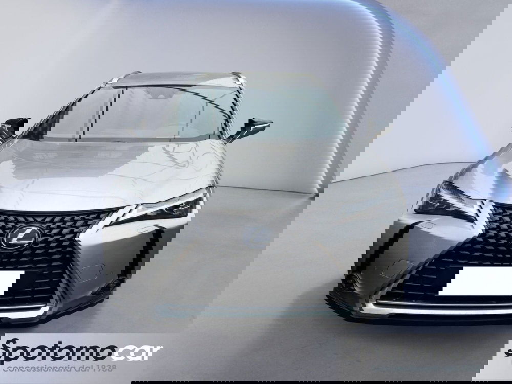 Lexus UX usata a Milano (4)