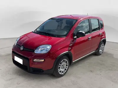 Fiat Panda Cross Cross 1.0 FireFly S&amp;S Hybrid del 2025 usata a Campobasso