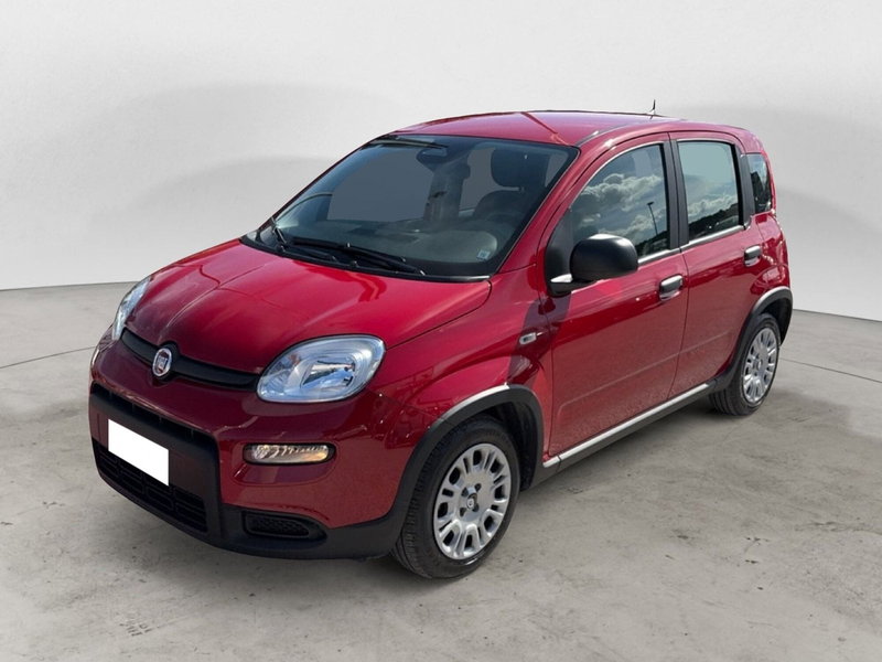 Fiat Panda Cross usata a Campobasso