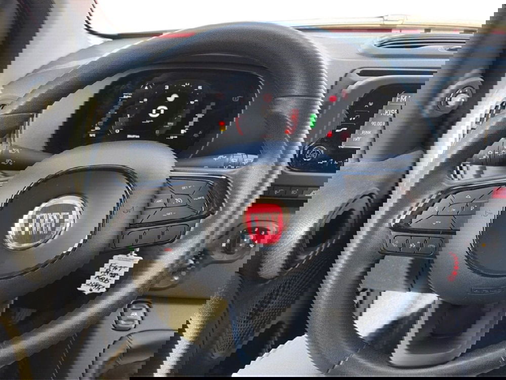 Fiat Panda Cross usata a Campobasso (15)