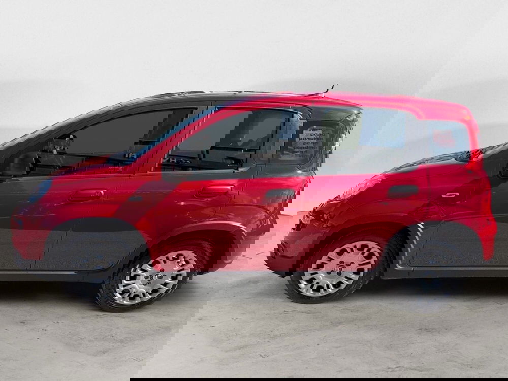 Fiat Panda Cross usata a Campobasso (2)