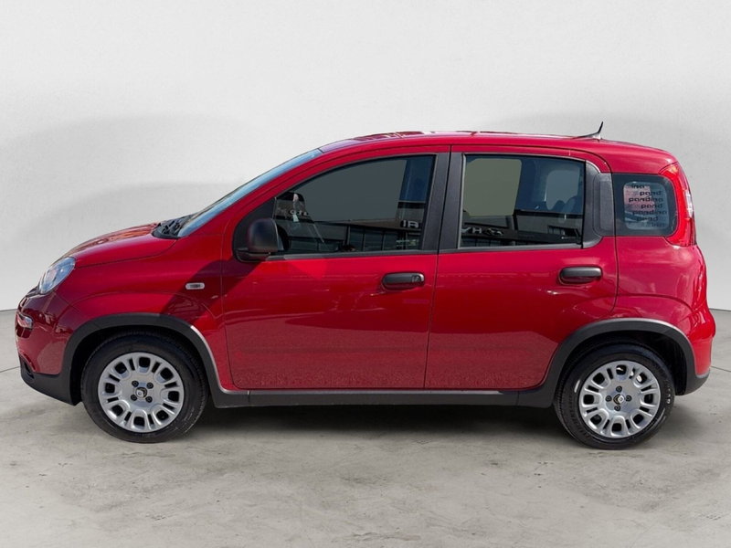 Fiat Panda Cross usata a Campobasso (2)