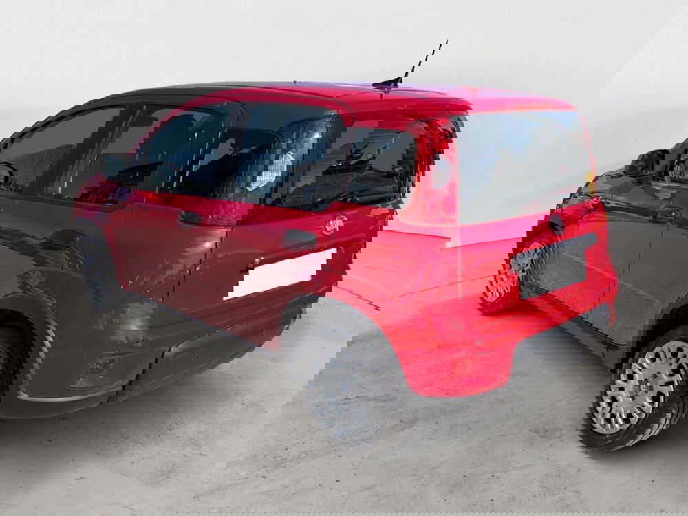 Fiat Panda Cross usata a Campobasso (3)