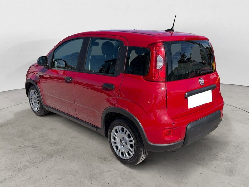 Fiat Panda Cross usata a Campobasso (3)