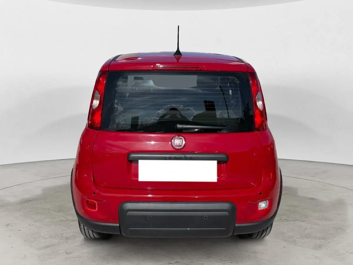 Fiat Panda Cross usata a Campobasso (4)