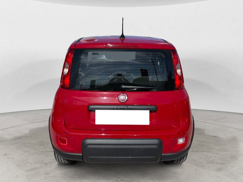 Fiat Panda Cross usata a Campobasso (4)