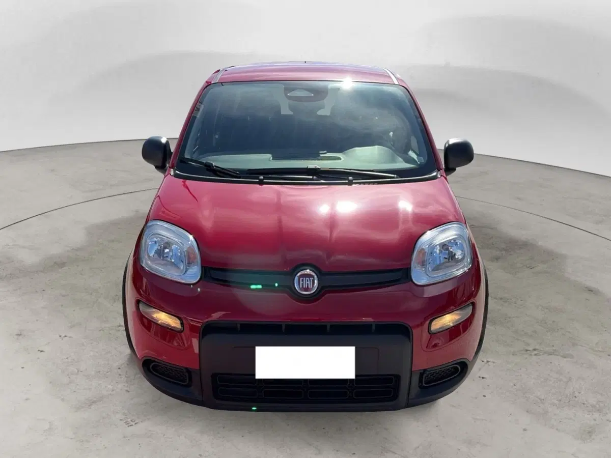 Fiat Panda Cross usata a Campobasso (5)