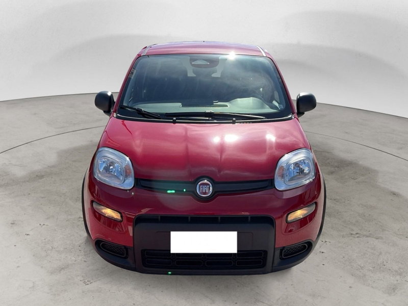 Fiat Panda Cross usata a Campobasso (5)