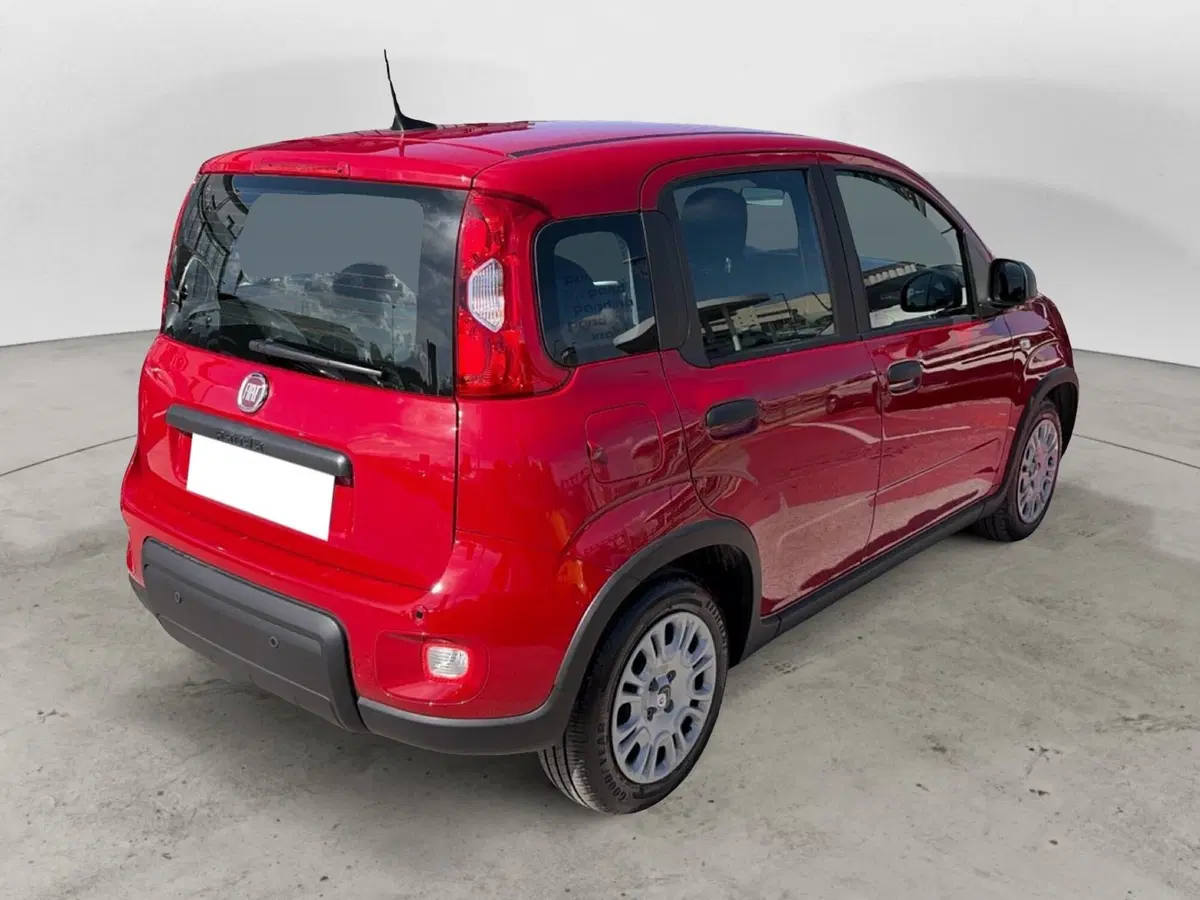 Fiat Panda Cross usata a Campobasso (6)