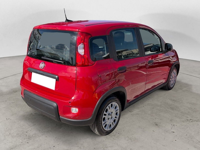 Fiat Panda Cross usata a Campobasso (6)