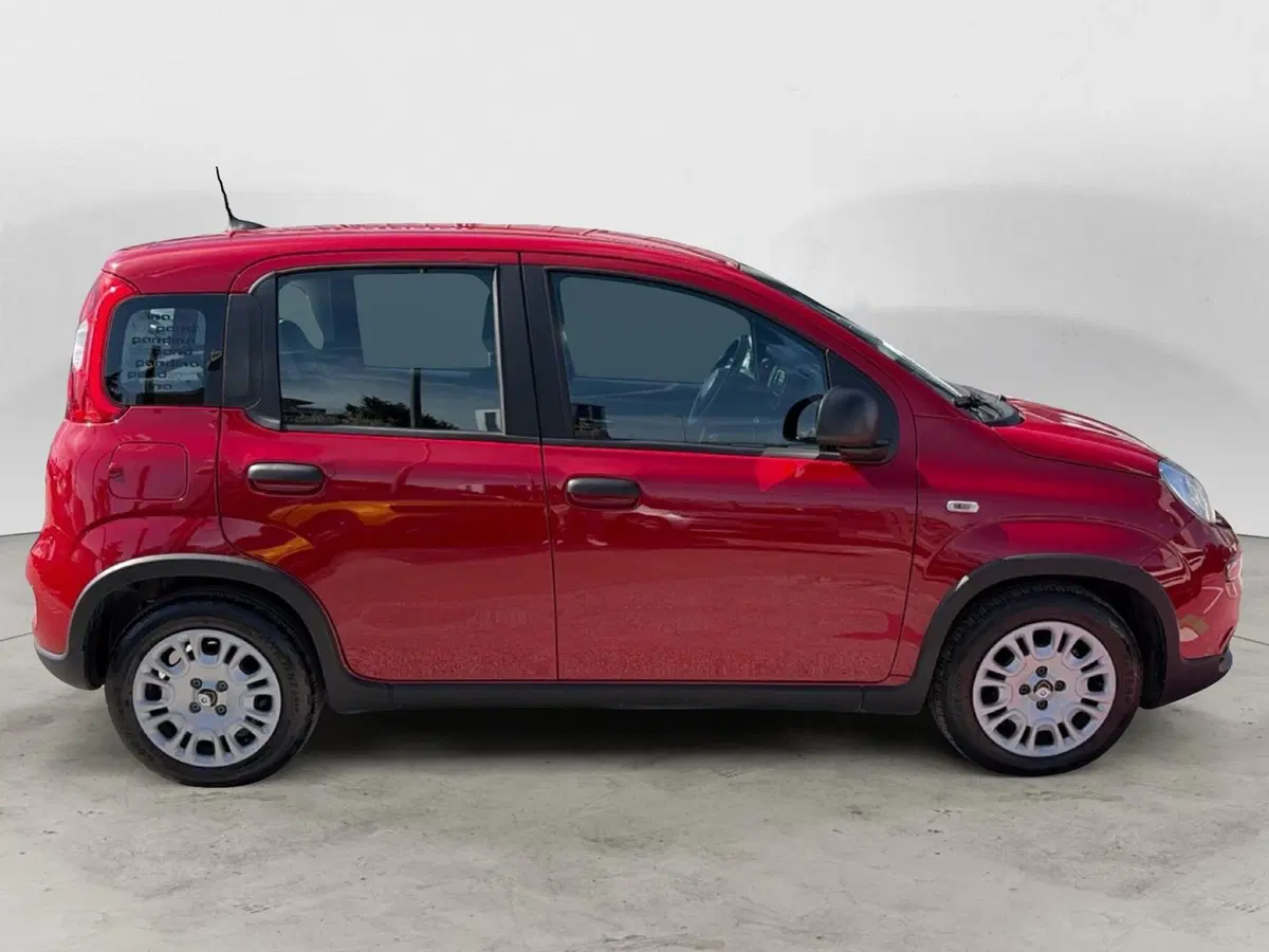 Fiat Panda Cross usata a Campobasso (7)