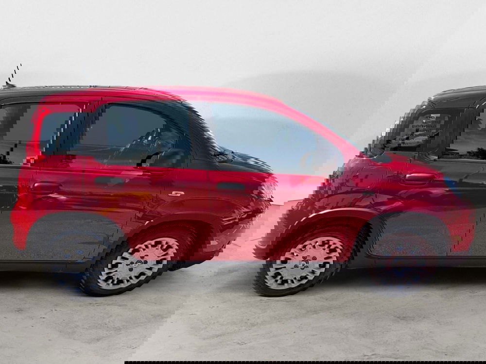 Fiat Panda Cross usata a Campobasso (7)