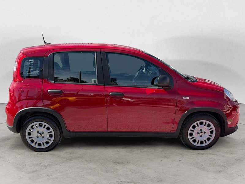 Fiat Panda Cross usata a Campobasso (7)