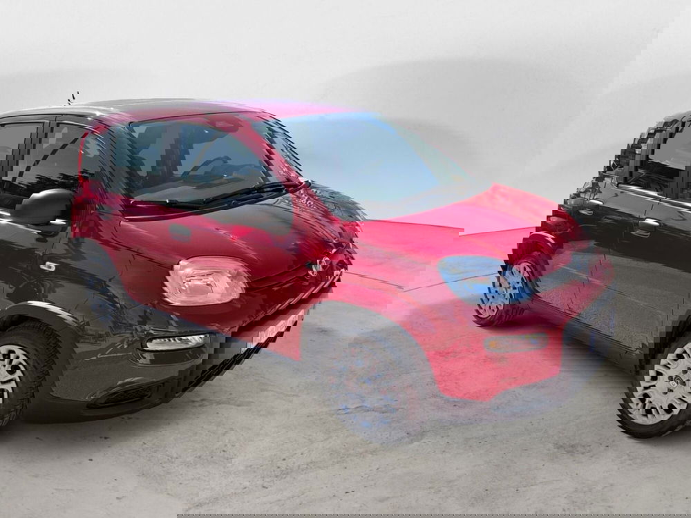 Fiat Panda Cross usata a Campobasso (8)