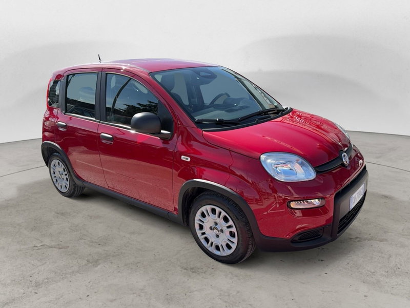 Fiat Panda Cross usata a Campobasso (8)