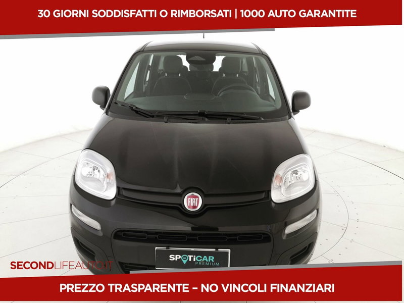 Fiat Pandina nuova a Chieti (19)