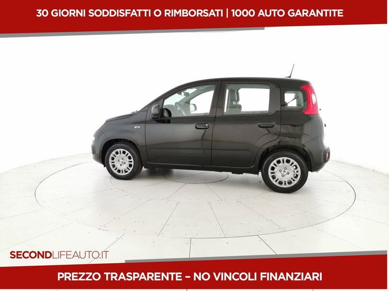 Fiat Pandina nuova a Chieti (2)