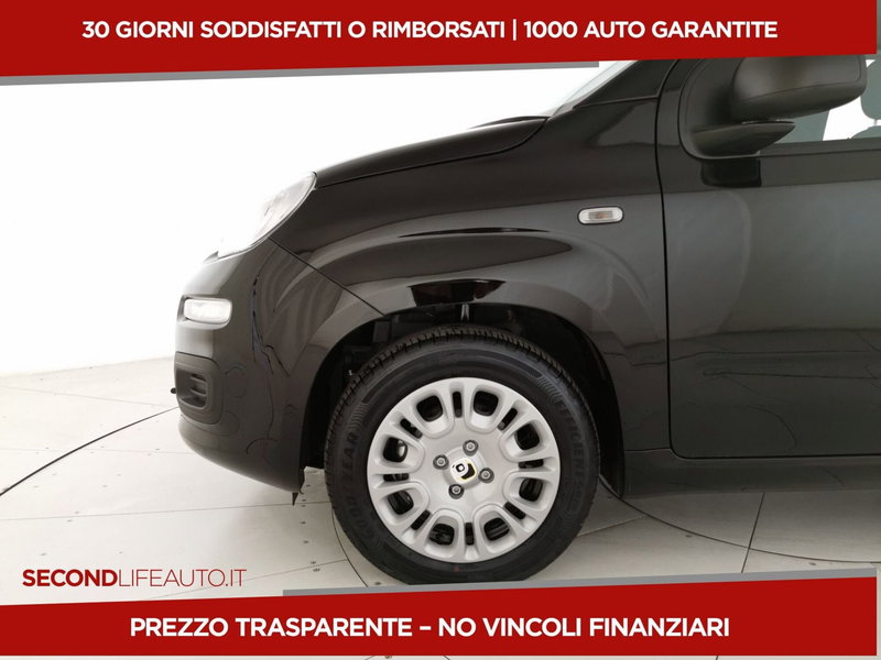 Fiat Pandina nuova a Chieti (20)
