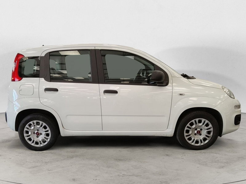Fiat Panda usata a Roma (16)