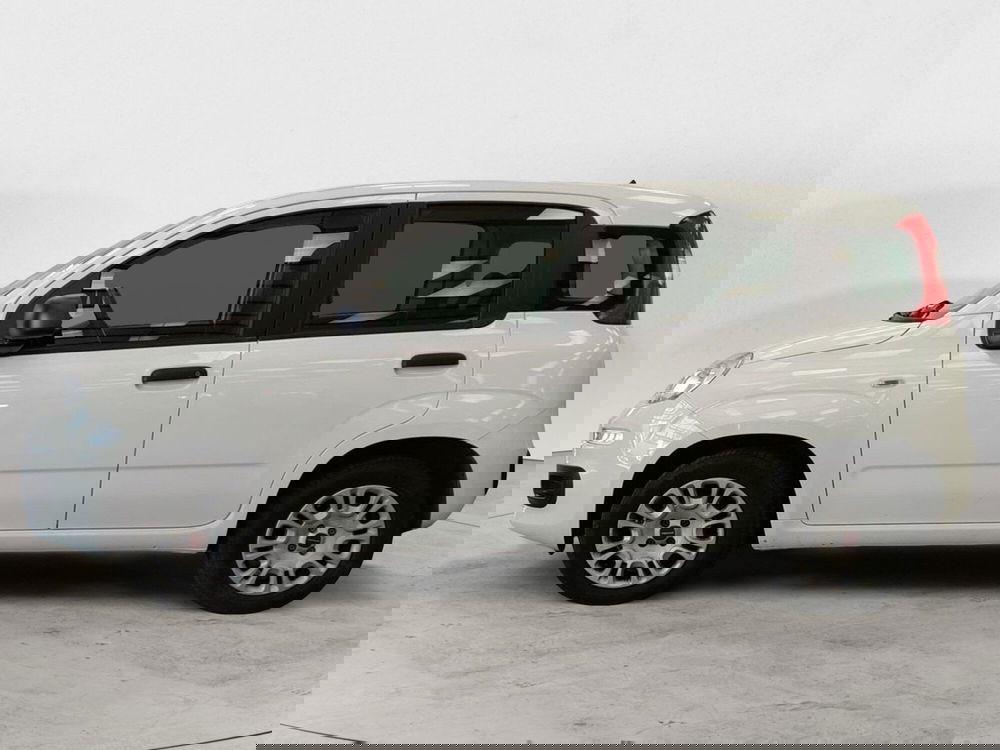 Fiat Panda usata a Roma (2)