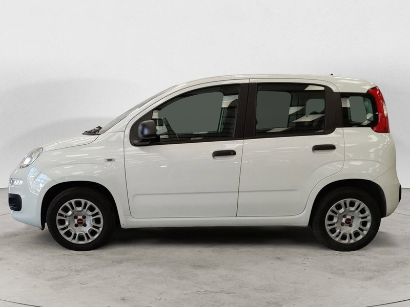 Fiat Panda usata a Roma (2)