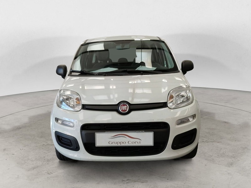 Fiat Panda usata a Roma (4)