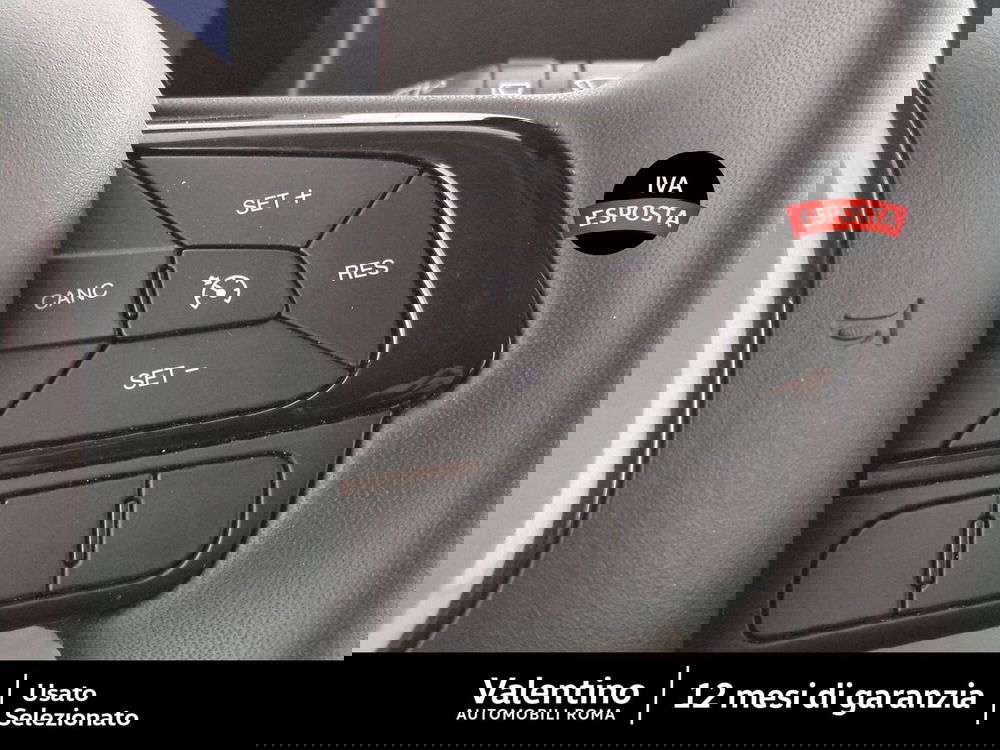 Fiat Panda Cross usata a Roma (15)