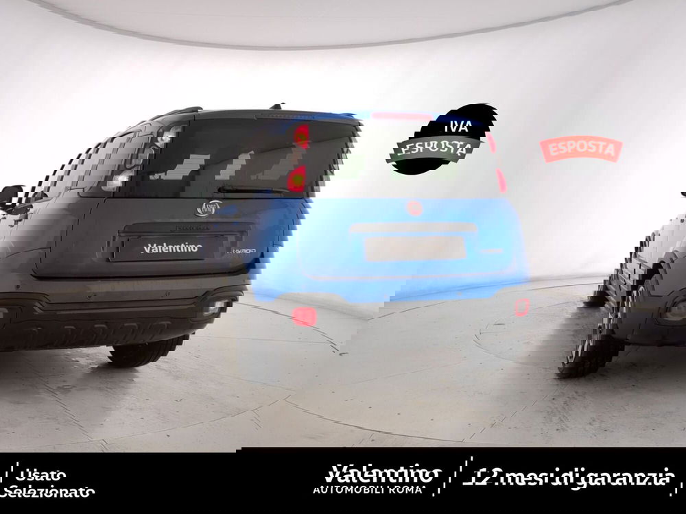 Fiat Panda Cross usata a Roma (5)