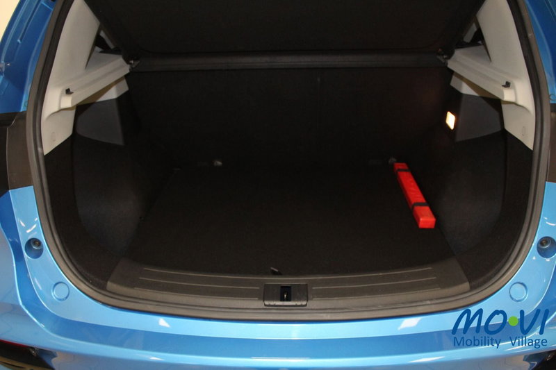 Mg ZS usata a Torino (7)