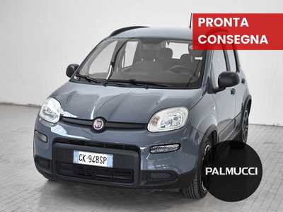 Fiat Panda 1.0 FireFly S&amp;S Hybrid City Cross del 2022 usata a Prato